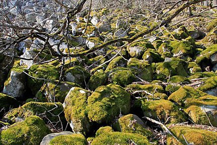 Coulée de lave de Roquelaure au-dessus d'Espalion en Aveyron