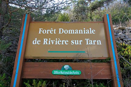 Forêt domaniale de Rivière sur Tarn