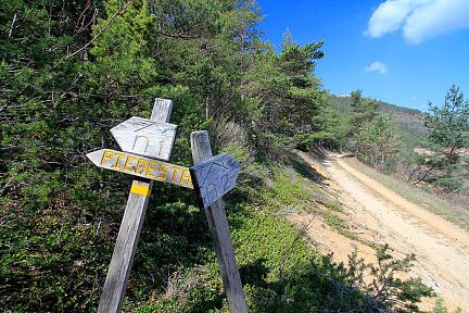 Embranchement pour monter par la forêt