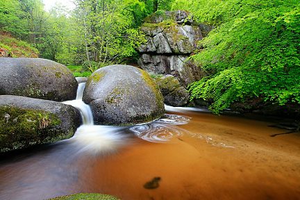 La mare aux Sangliers sous un ciel gris
