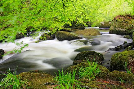 Randonnée dans la forêt de Huelgoat