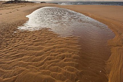 Balade sur la plage à la pointe du Cap Ferret