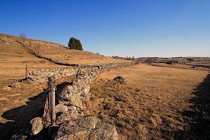 Paysage d'Aubrac en Aveyron