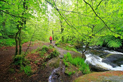 La mare aux Fées dans la forêt de Huelgoat (Finistère)