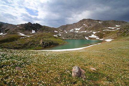 Randonnée au Grand Lac de l'Oule, champ de fleurs au vent