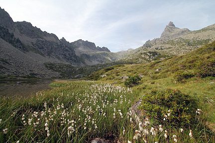 Paysage du lac de Lagües vers les lacs d'Ardiden (Hautes-Pyrénées)