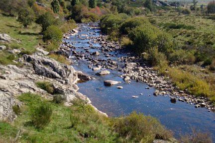 Le Bès serpente sur le plateau de l'Aubrac