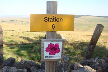 Randonnée près de Laguiole, sur l'Aubrac