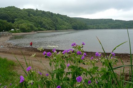 Lac du Guéry dans le Puy de Dôme