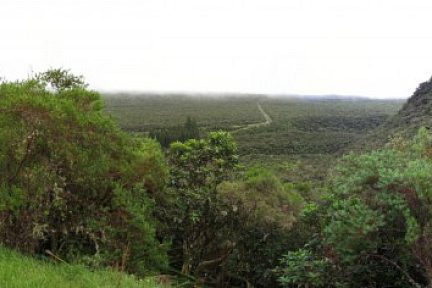 Forêt de Bébour