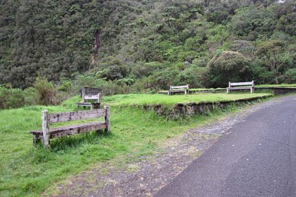 Point de vue sur la forêt de Bébour