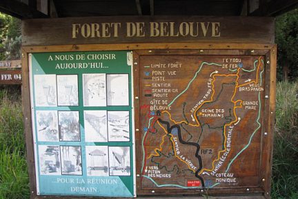 Départ de la randonnée dans la forêt de Bélouve