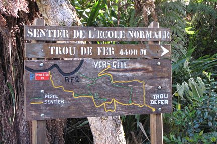 Randonnée à travers la forêt de Bélouve