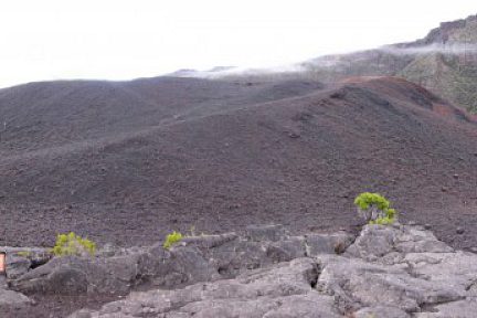 Formica Leo, cratère strombolien de la Fournaise, vue 2