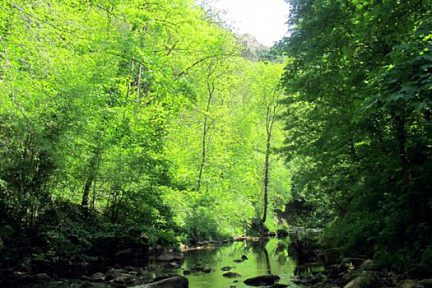 Verdure et fraicheur sont au rendez vous dans le trou de Bozouls