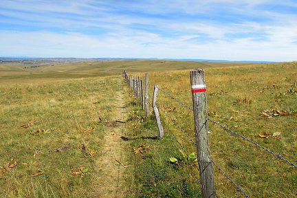 Randonnée sur Aubrac, en Lozère