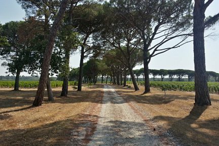 Balade dans le Médoc