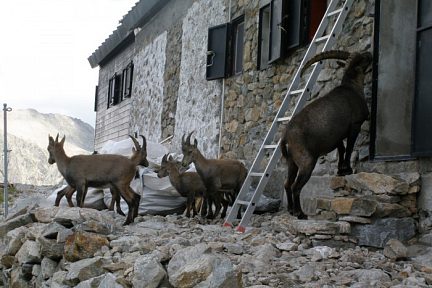 Refuge de Pagari