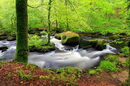 Balade dans la forêt de Huelgoat en Bretagne