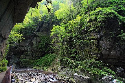 Végétation verdoyante des gorges de Kakuetta