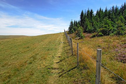 Randonnée sur Aubrac, au Signal de Mailhebiau