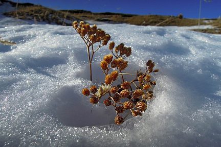 La neige est là face au Col de Pourteillou