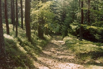 Craponne sur Arzon