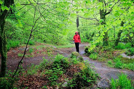 Balade dans la forêt de Huelgoat