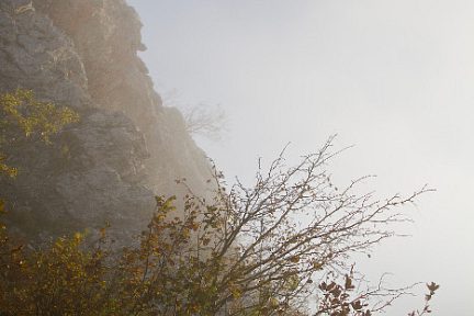 Montée au Reculet dans le brouillard, Jura