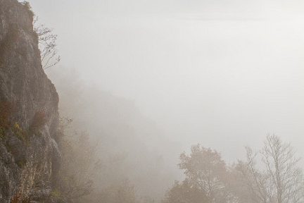 Paysage difficile à voir avec le brouillard