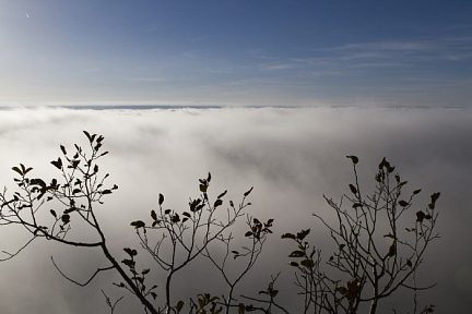 entre ciel et brume