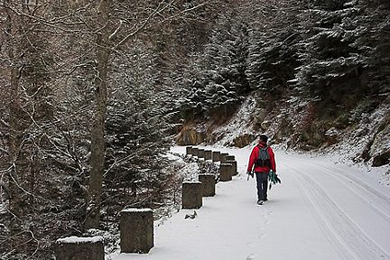 Montée dans la neige vers le lac de l'Oule