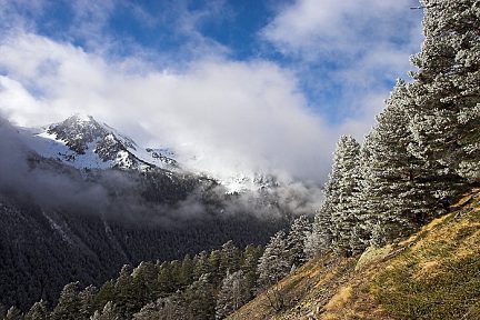 Paysage de montagne