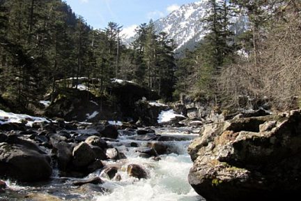 Cours d'eau dans une vallée des Pyrénées, près du Pont d'Espagne, Pyrénées