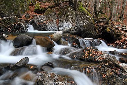 Cascades dans les Pyrénées (forêt du Bué)
