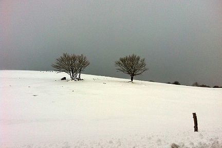 Paysage d'Aubrac enneigé, près de Laguiole