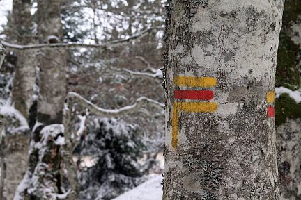 Sentier de randonnée en Aubrac
