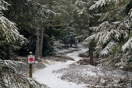 Circuit de randonnée : sentier botanique de Laguiole