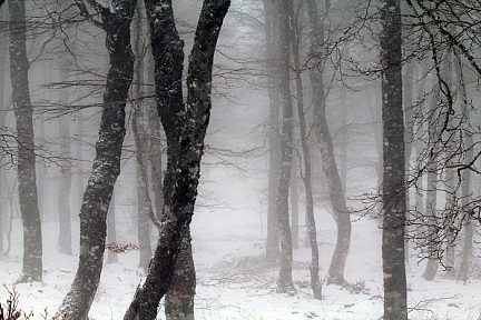 Progression dans le brouillard