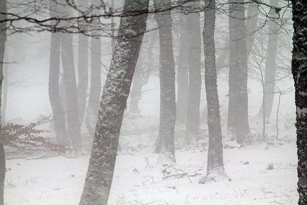 Brouillard fantomatique