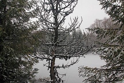 Lac gelé en Aubrac