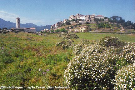 San Antonino