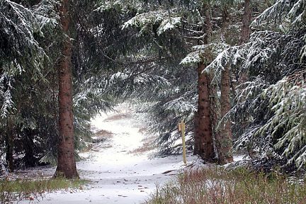 Randonnée hivernale sur le sentier botanique de Laguiole, Aubrac