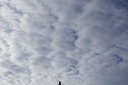 Entre ciel et neige