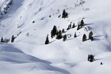 Randonnée dans la poudreuse