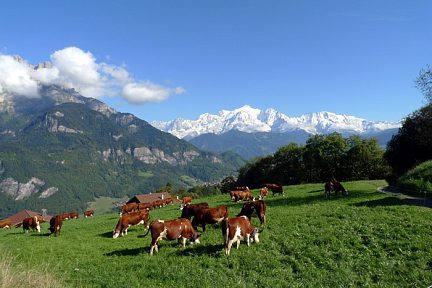 Le Mont Blanc, vu d'au dessus de Sallanches, Alpes Françaises