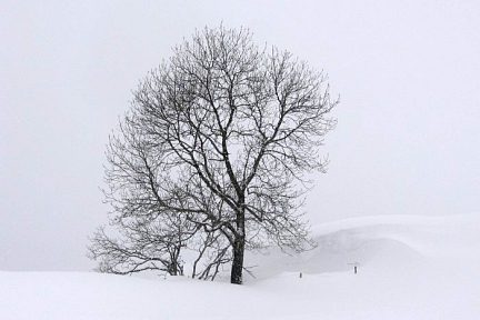 col de Bazes