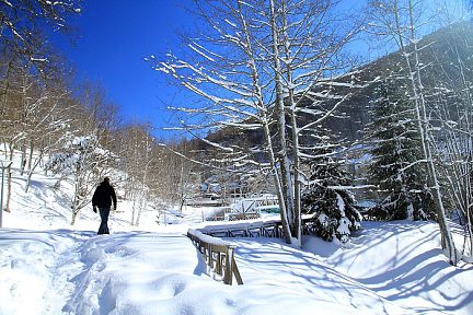 Paysage enneigé, tout est recouvert de neige
