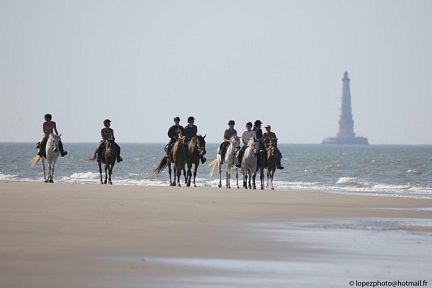 randonnée équestre en médoc 
