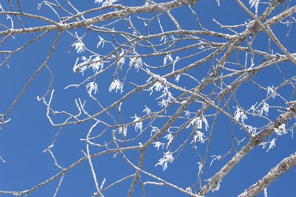 hiver